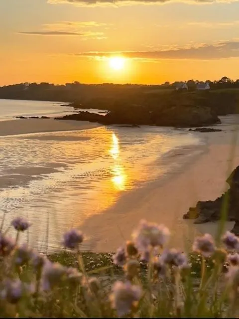 Les Oyats, Vue Sur Mer, Parking, Gr34 Clohars-Carnoet