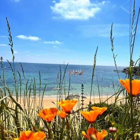 Les Oyats, Vue Sur Mer, Parking, Gr34 Clohars-Carnoet Apartment